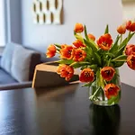 Baltic Hotel apartamentowy 4*