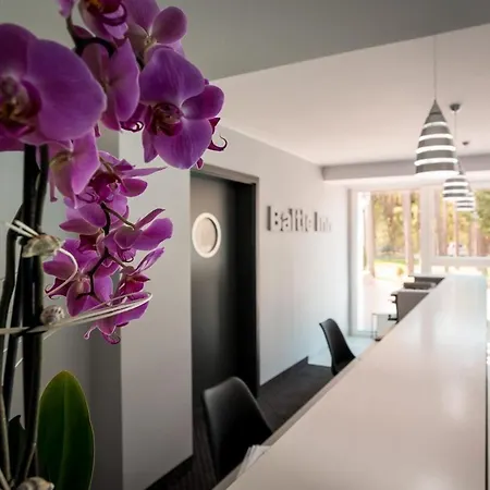 Baltic 4* 포고르젤리차